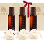 CHRISTMAS GIFT SET MEDIUM (3 PARFUMS & 3 SAMPLES)
